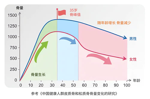 骨质健康变化表